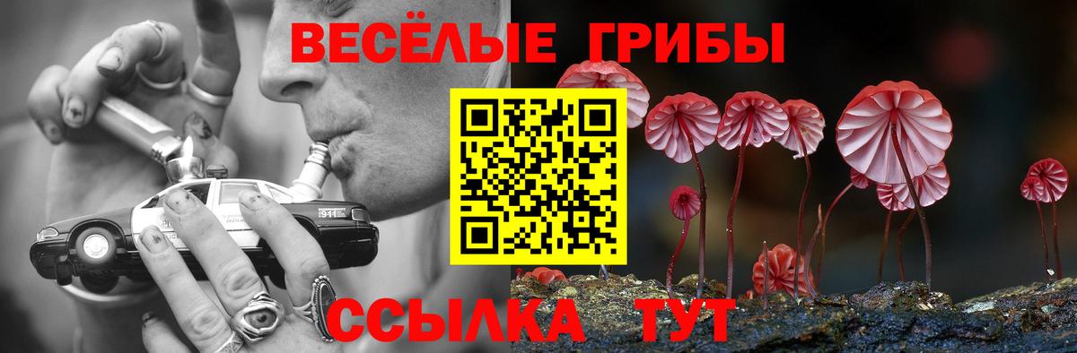 Томск  Псилоцибиновые грибы MAGIC MUSHROOMS  Вход с VPN 